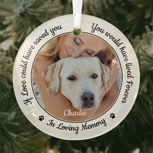 Pet Memorial Modern Sympathy Keepsake Dog Photo Glass Tree Decoration