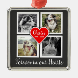 Pet Memorial Ornament with Four Photos and Details