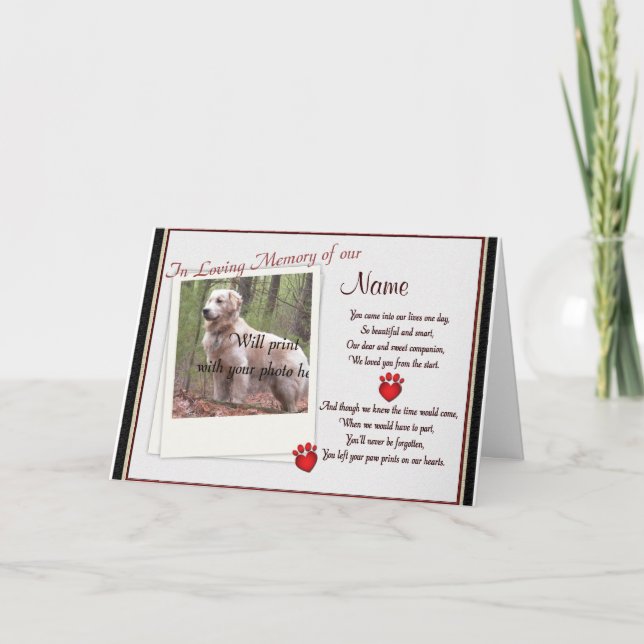Pet Memorial Paw Prints  Announcement - Dog Cat (Front)