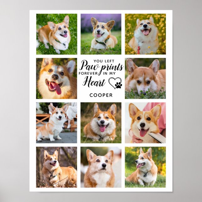 Pet Memorial Paw Prints Personalised 11 Photo  (Front)