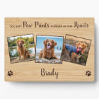 Pet Memorial Paw Prints Personalised Photo Collage