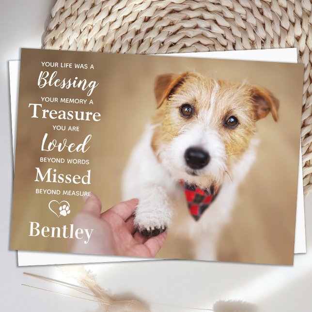 Pet Memorial Personalise Modern Dog Photo Sympathy Thank You Card (Creator Uploaded)