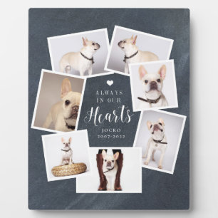 Pet Memorial Personalised Multi Photo Collage Plaque