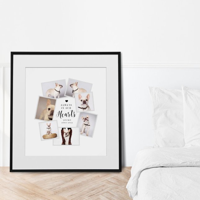 Pet Memorial Personalised Multi Photo Collage Poster (Creator Uploaded)