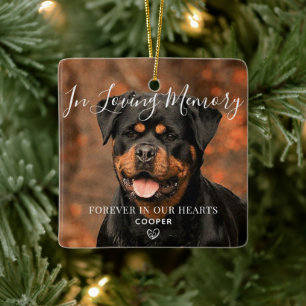 Pet Memorial Personalised Photo Ceramic Ornament