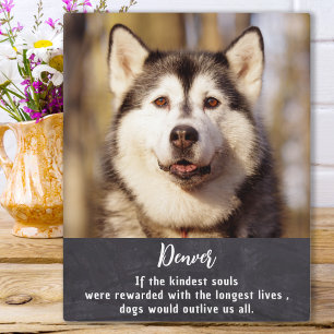 Pet Memorial Personalised Picture Dog Lover  Plaque