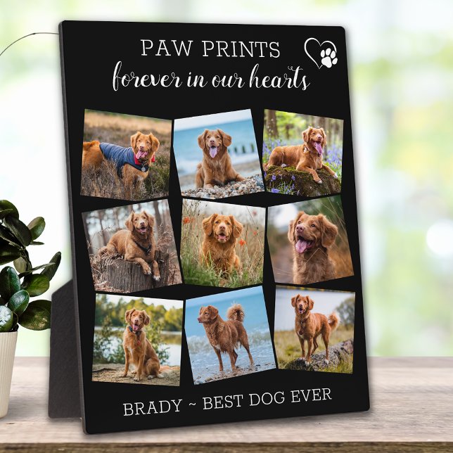 Pet Memorial Pet Loss 9 Photos Unique Keepsake Dog Plaque (Creator Uploaded)