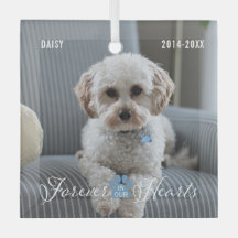Pet Memorial Pet Loss Keepsake Photo and Name 