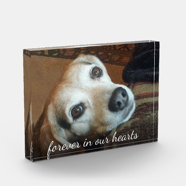 Pet Memorial Photo Forever In Our Hearts Block (Left)