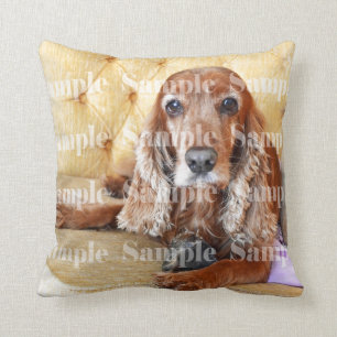 Pet memorial photo keepsake   Personalise Cushion