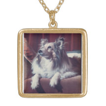 Pet Memorial Photo Necklace