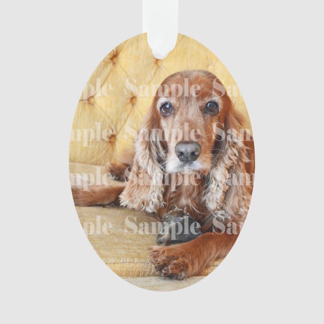 Pet memorial photo PERSONALIZE Ornament (Front)