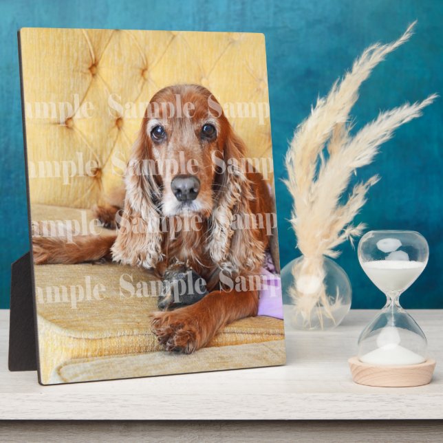 Pet memorial photo PERSONALIZE Plaque (Side)
