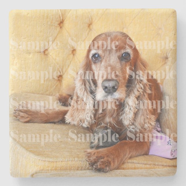 Pet memorial photo PERSONALIZE Stone Coaster (Front)