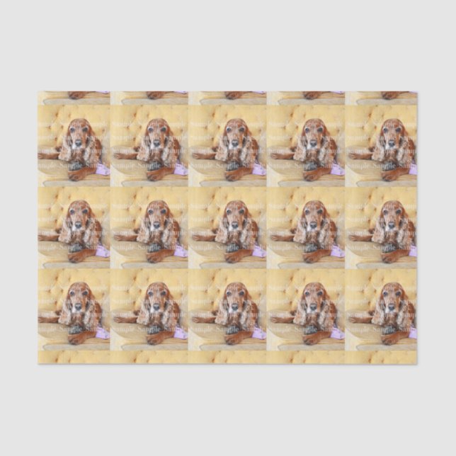 Pet memorial photo PERSONALIZE Tissue Paper (Front)