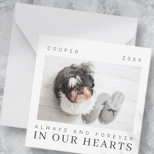 Pet Memorial Quote Simple Modern Chic Photo Card