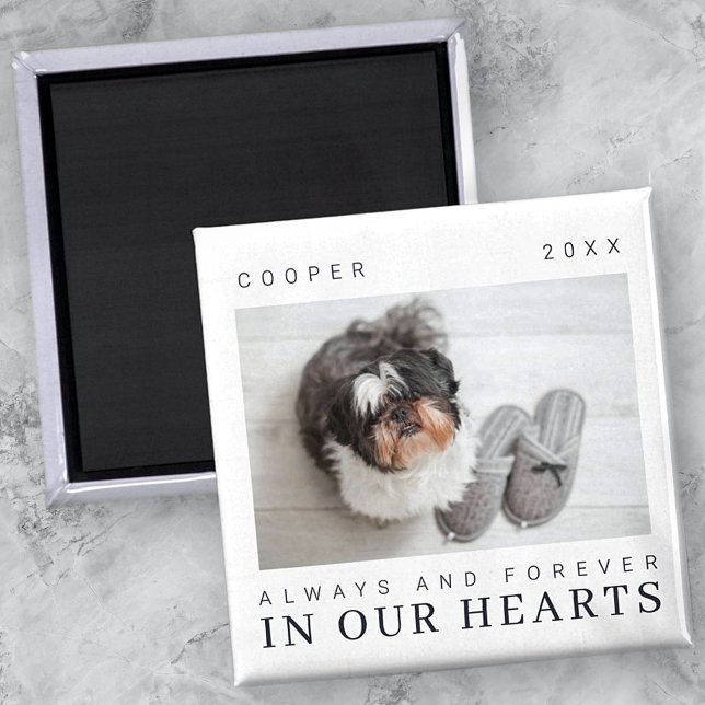 Pet Memorial Quote Simple Modern Chic Photo Magnet (Creator Uploaded)