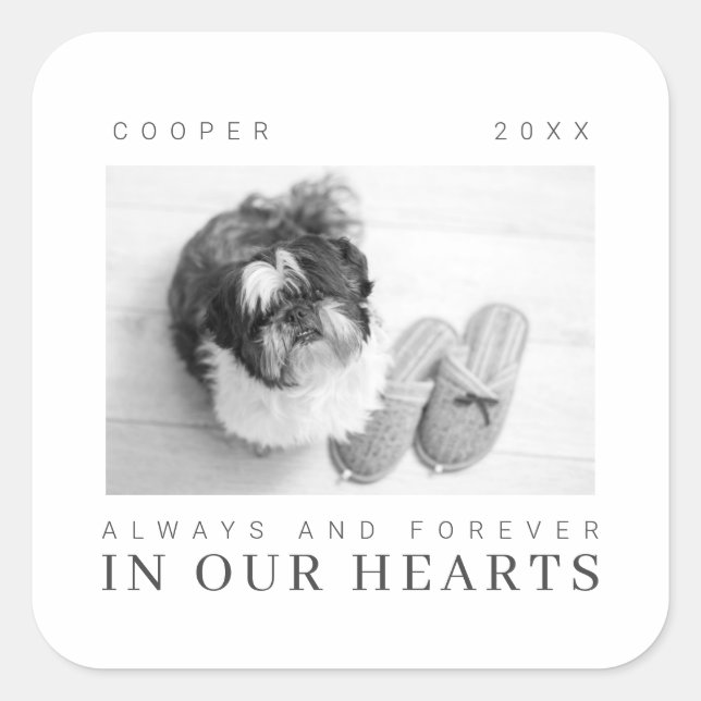 Pet Memorial Quote Simple Modern Chic Photo Square Sticker (Front)