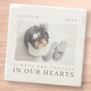 Pet Memorial Quote Simple Modern Chic Photo Stone Coaster