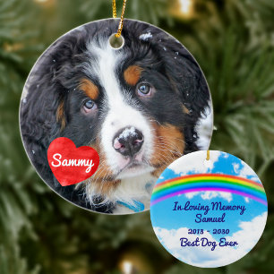  Pet Memorial - Rainbow Bridge Modern Dog Photo Ceramic Tree Decoration