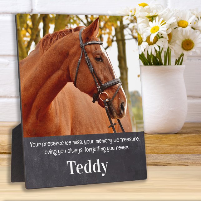 Pet Memorial Remembrance Custom Horse Photo Plaque (Creator Uploaded)