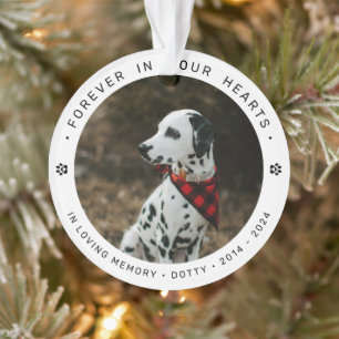 Pet Memorial Remembrance Tribute Dog/Cat Photo Ornament