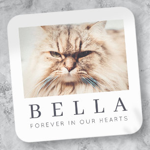 Pet Memorial Simple Modern Chic Family Photo Square Sticker