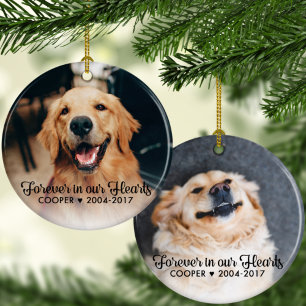 Pet Memorial Sympathy 2 Photos Ornament