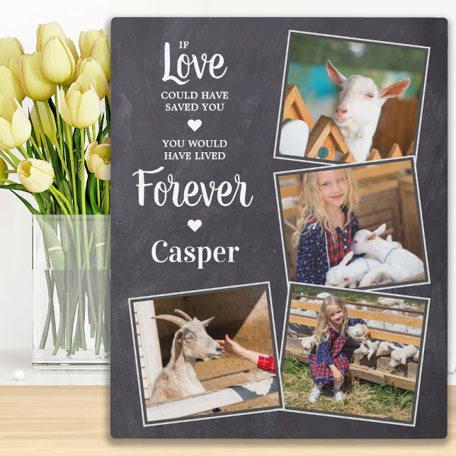 Pet Memorial Sympathy Keepsake Pet Loss 4 Photo Plaque (Creator Uploaded)