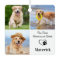 Pet Memorial Sympathy Personalised 3 Photo Collage