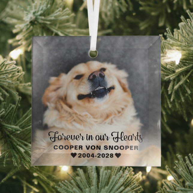 Pet Memorial Sympathy Photo Glass Tree Decoration (Insitu)