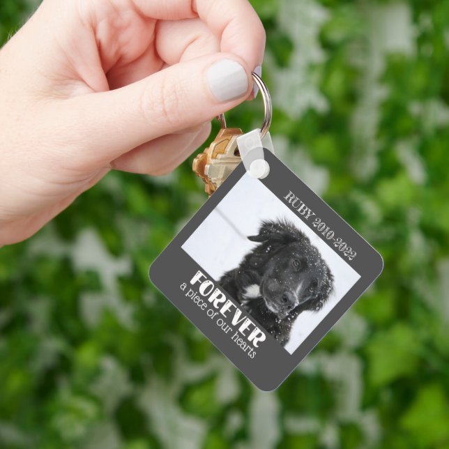 Pet Memorial Sympathy Photo Key Ring (Hand)
