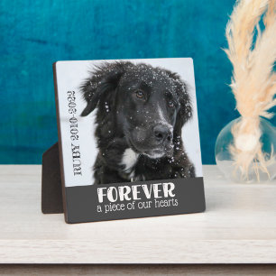 Pet Memorial Sympathy Photo Plaque