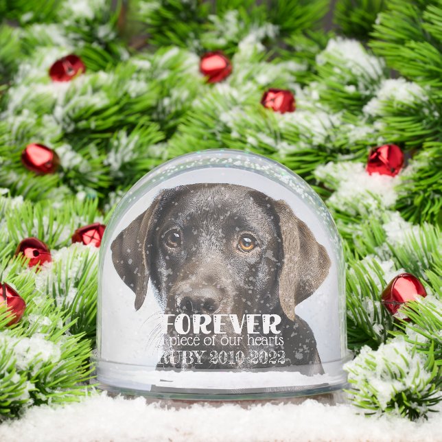 Pet Memorial Sympathy Photo Snowglobe (Christmas)