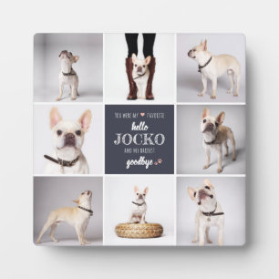 Pet Memorial Sympathy Quote Keepsake Photo Collage Plaque