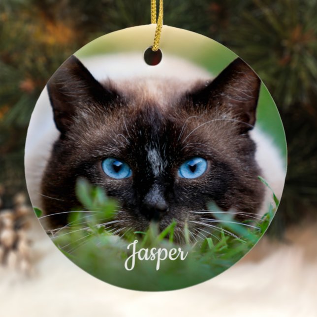 Pet Memorial Sympathy Rainbow Bridge Cat Photo Ceramic Tree Decoration (Creator Uploaded)