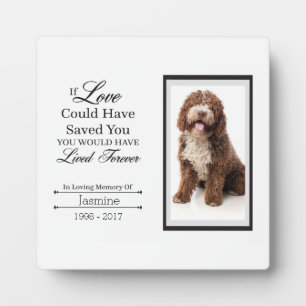 Pet Memorial Tabletop Plaque with Easel