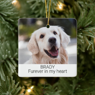 Pet Memorial with Name and Photo Ceramic Ornament