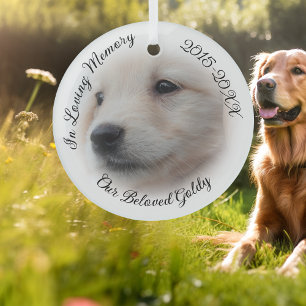 Pet Memorial With Soft White Photo Vignette Glass Tree Decoration