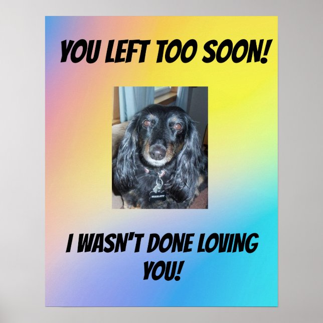 Pet Memorial You Left Too Soon 1 Photo Poster (Front)