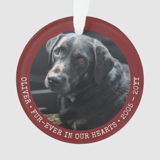 Pet Memory Cat Dog Photo Forever Personalised Ornament (Front)