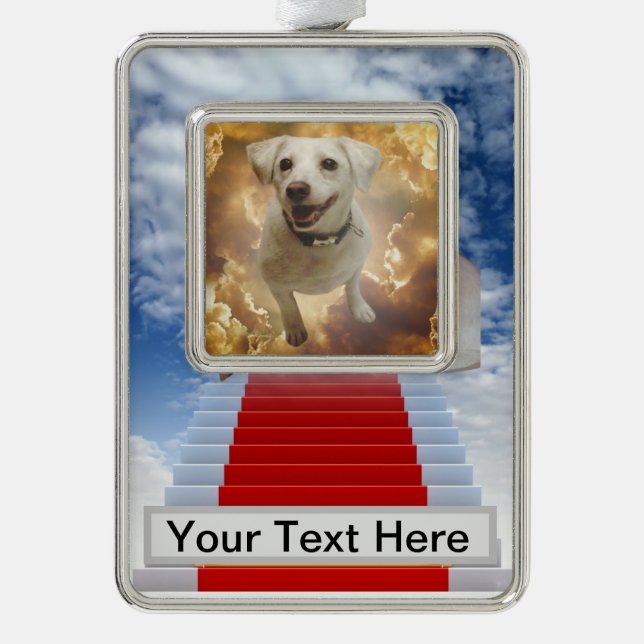 Pet Memory Framed Ornament (Front)