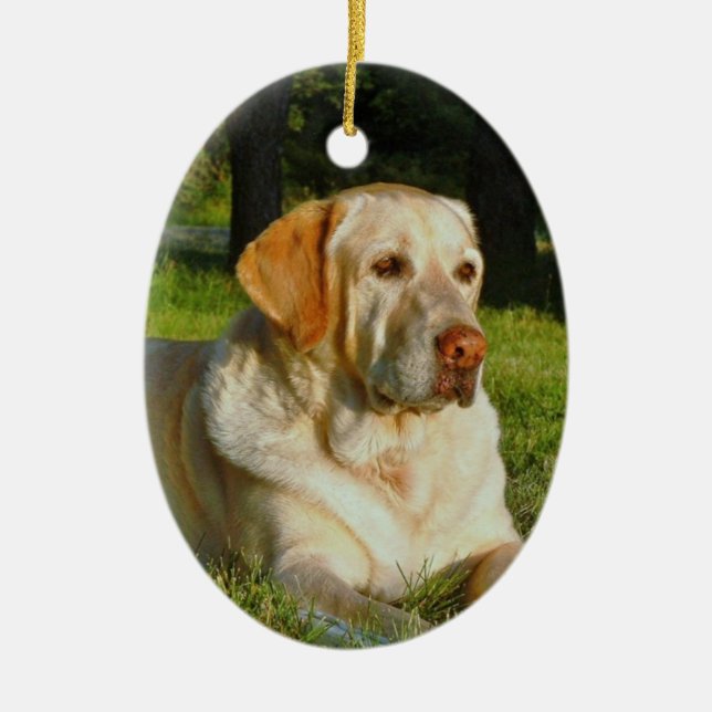 Pet Memory Ornament - Make Your Own (Front)