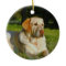 Pet Memory Ornament - Make Your Own