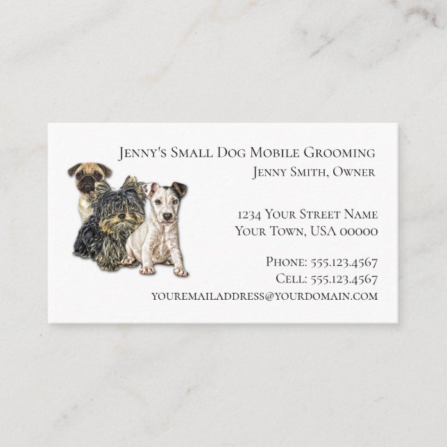 Pet Mobile Grooming 2019 Calendar Design Business Card (Front)