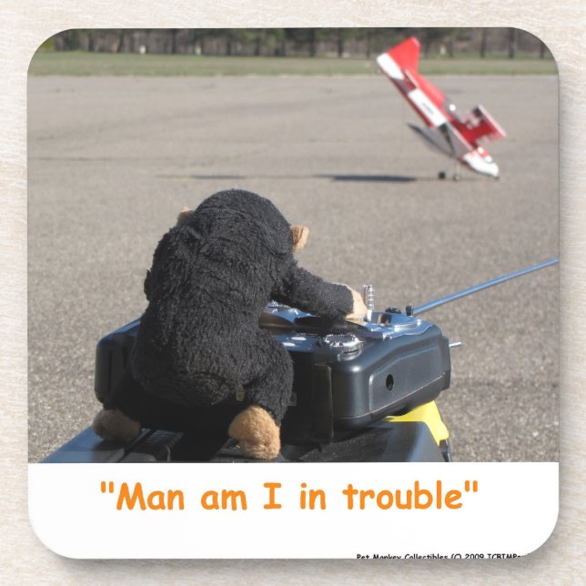Pet Monkey Crashing Dads RC Plane Coaster Set (Front)