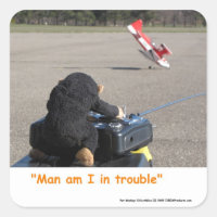 Pet Monkey Crashing Dads RC Plane