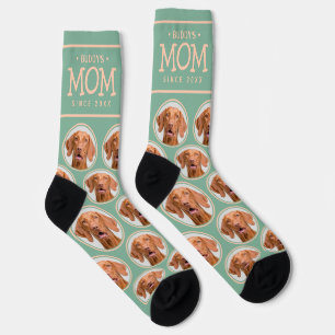 Pet Mum Gift Dog Cat Photo Pattern Green & Pink Socks