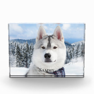 Pet Name Photo Block