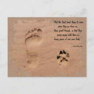 Pet & Owner Prints in the Sand Postcard